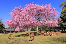 お疲れ様でした