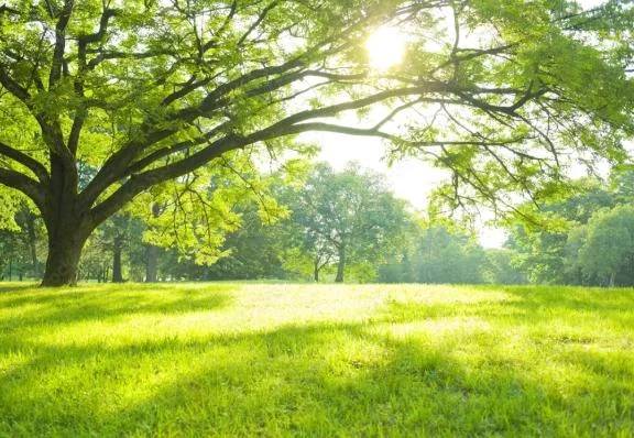 freestyleのお客様