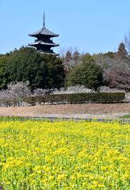 本日も宜しくお願いいたします