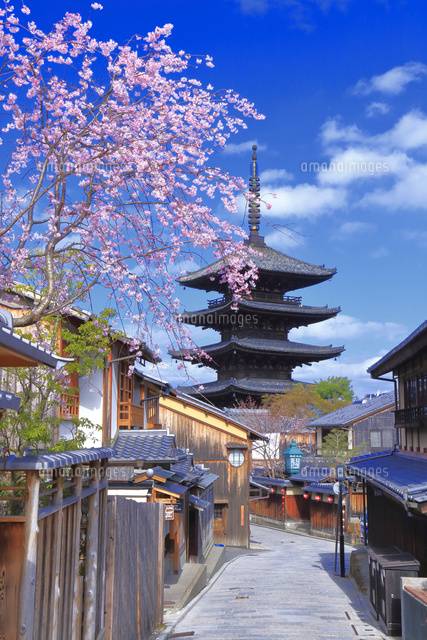 おやすみなさい