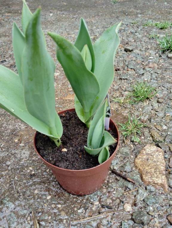 おはようございます😊