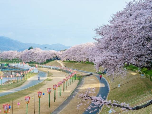 出勤の予定でしたが、お休みさせていただきます