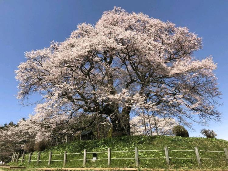 本日も宜しくお願いいたします
