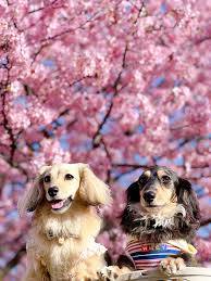 ありがとうございました