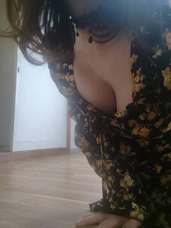 出勤しました。