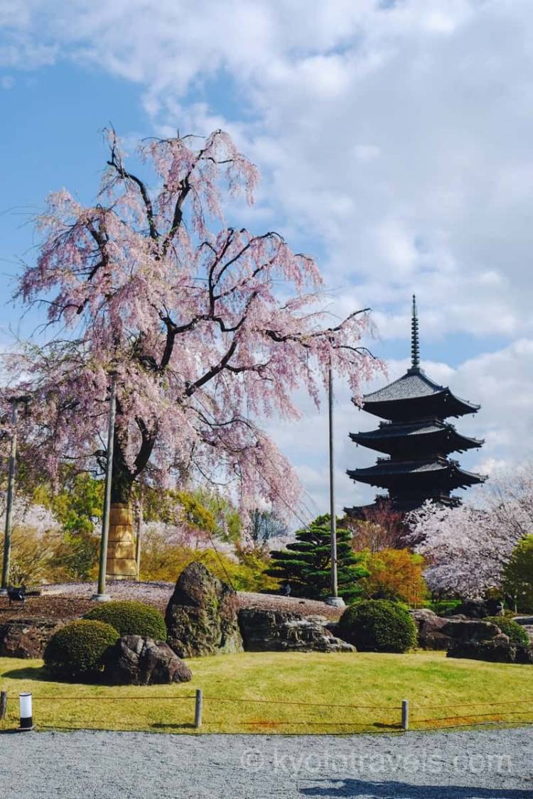 お疲れ様でした