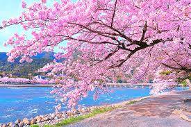 おやすみなさい