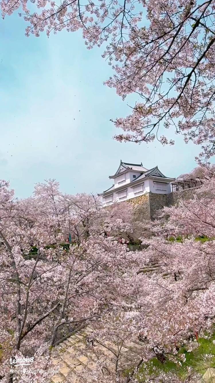 予想最高気温は23℃