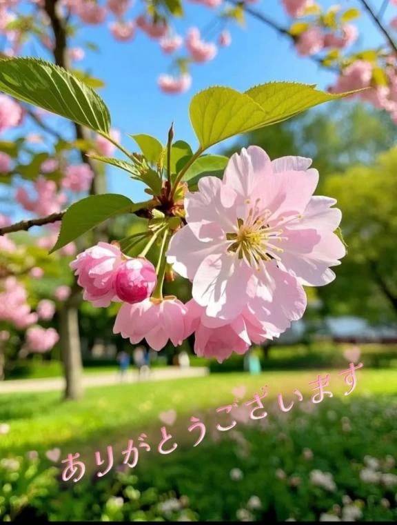 本指名グロー402号室様あリがとうございました♫