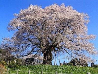 お疲れ様でした