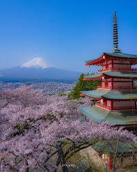 おやすみなさい