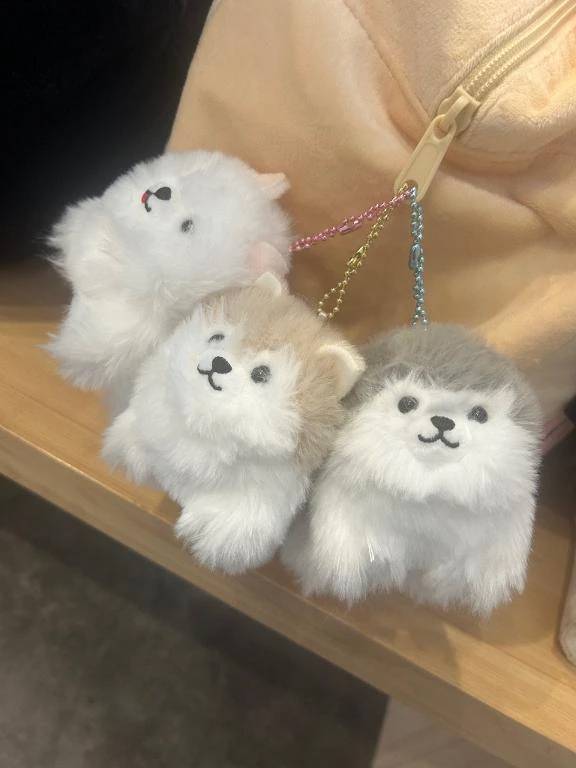 目が覚めた☀️