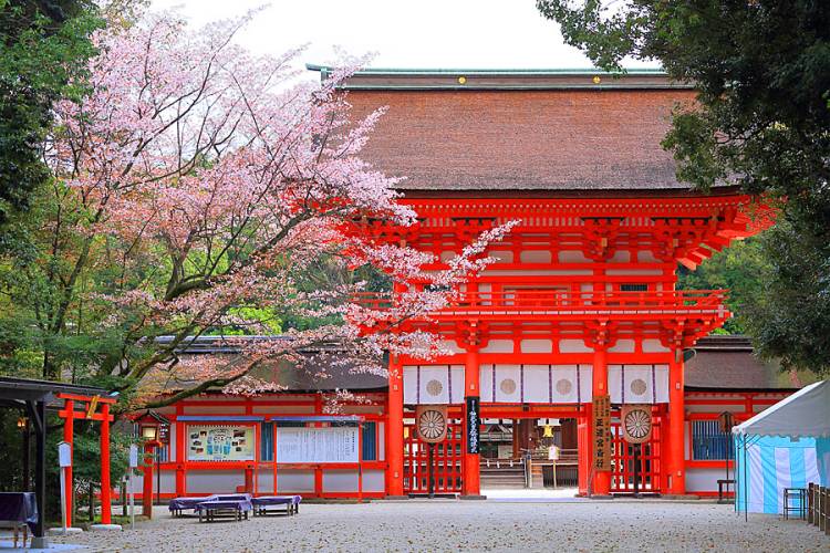 お疲れ様でした