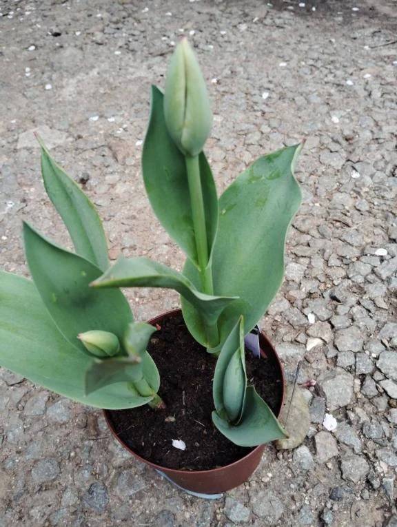 おはようございます😊