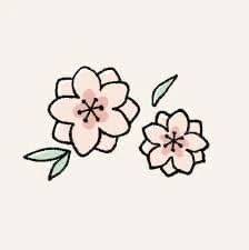 来週からの、、