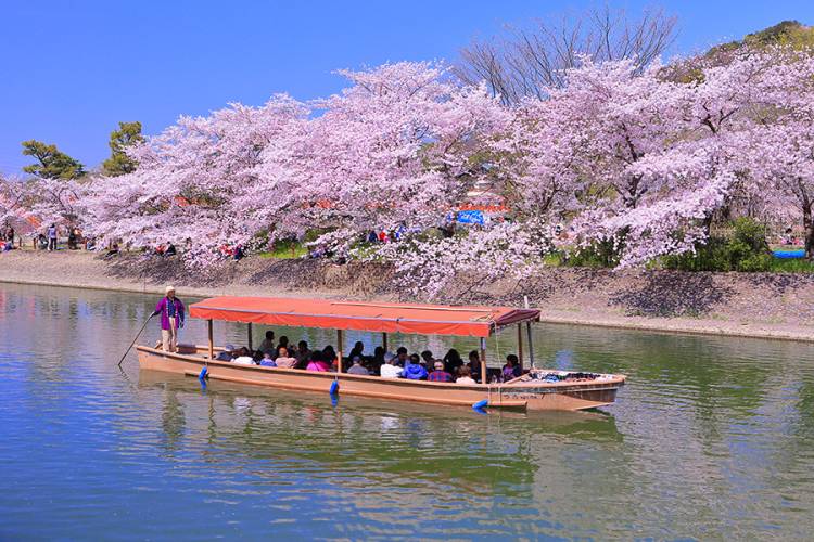 おやすみなさい