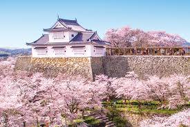 出勤の予定でしたが、お休みさせていただきます