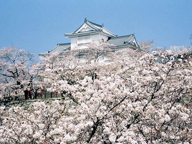 予想最高気温は１８℃