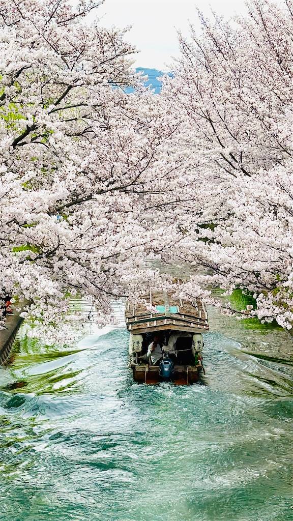 お疲れ様でした