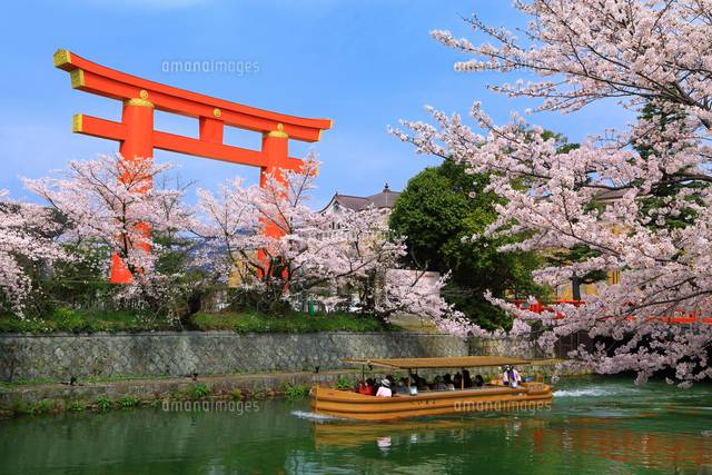 おやすみなさい