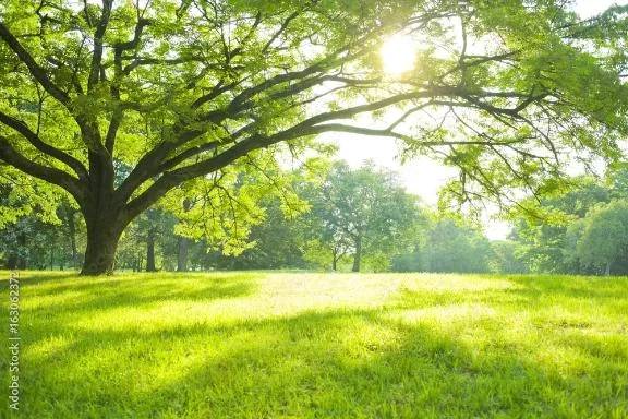 おはようございます☀