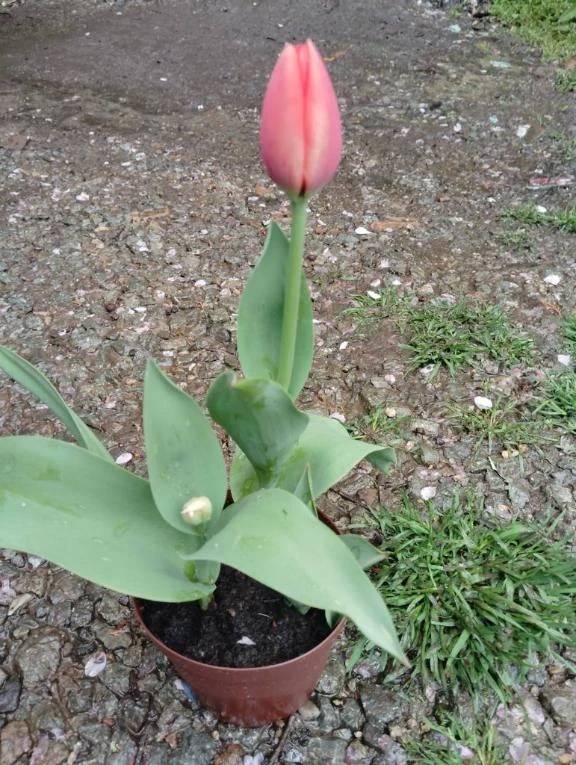 おはようございます😊