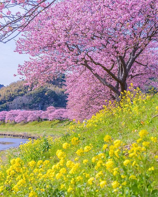 ありがとうございました