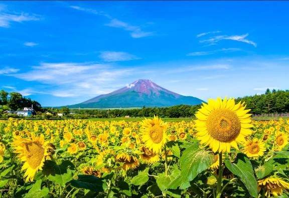 りゅうぐうのお客様