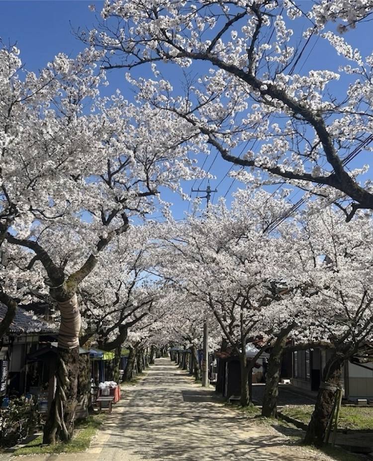 4月になって2回目の火曜日