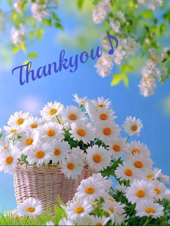 アラジン501号室様あリがとううございました♪