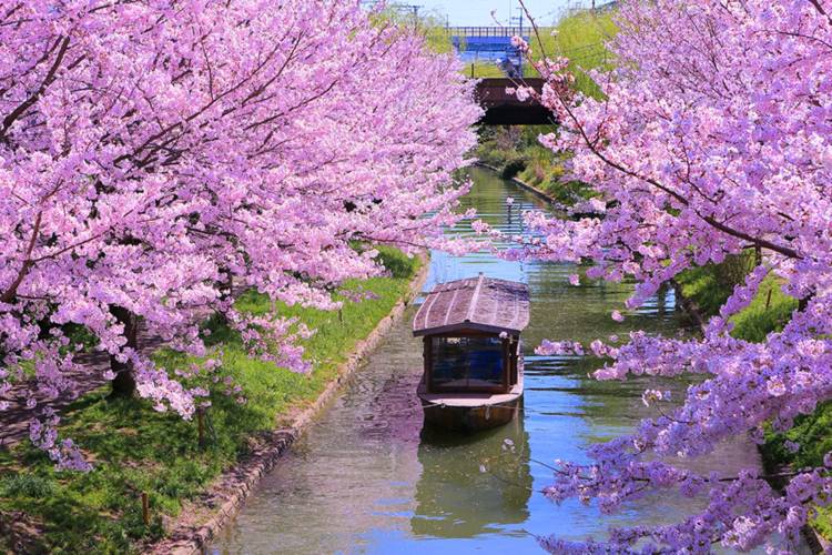 ありがとうございました