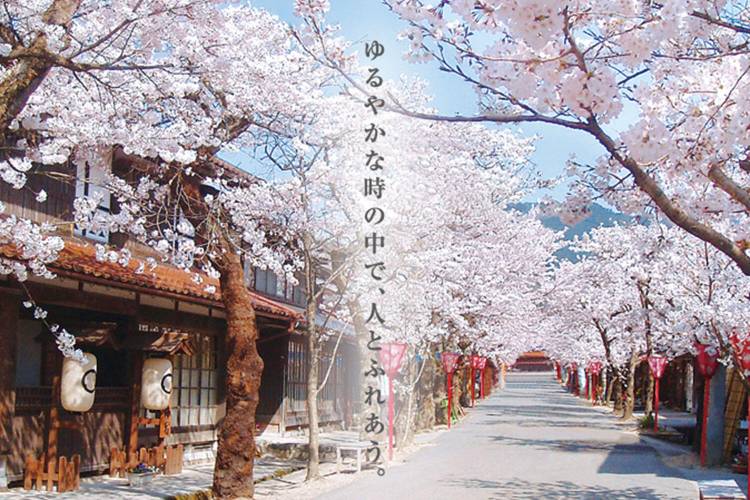 出勤の予定でしたが、お休みさせていただきます