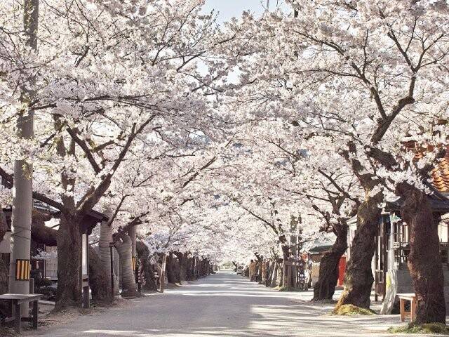 さゆり　　指名料無料中
