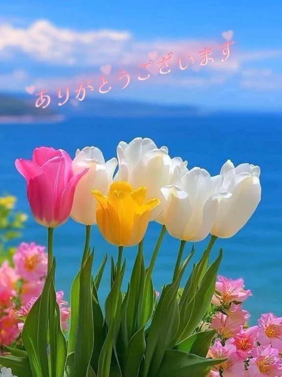 あリがとうございます♫