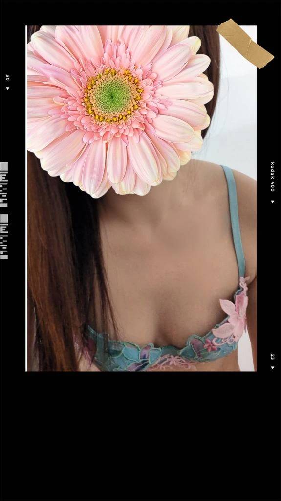 こんにちは⭐️