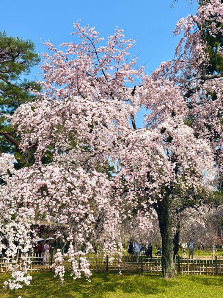 お疲れ様でした