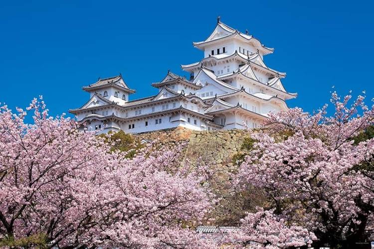 ありがとうございました