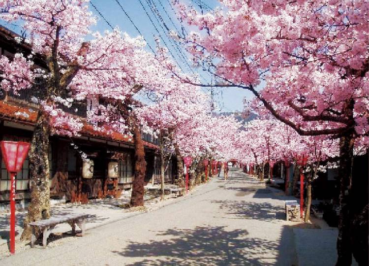 予想最高気温は２１℃