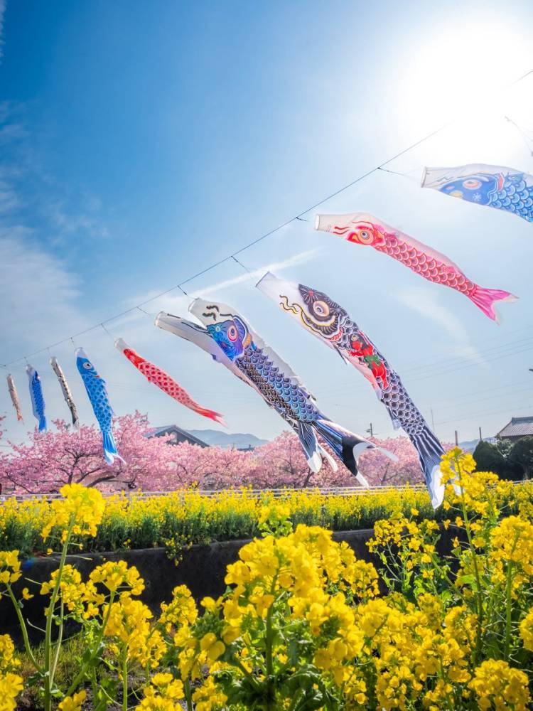 お疲れ様でした