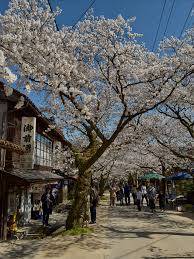 出勤の予定でしたが、お休みさせていただきます