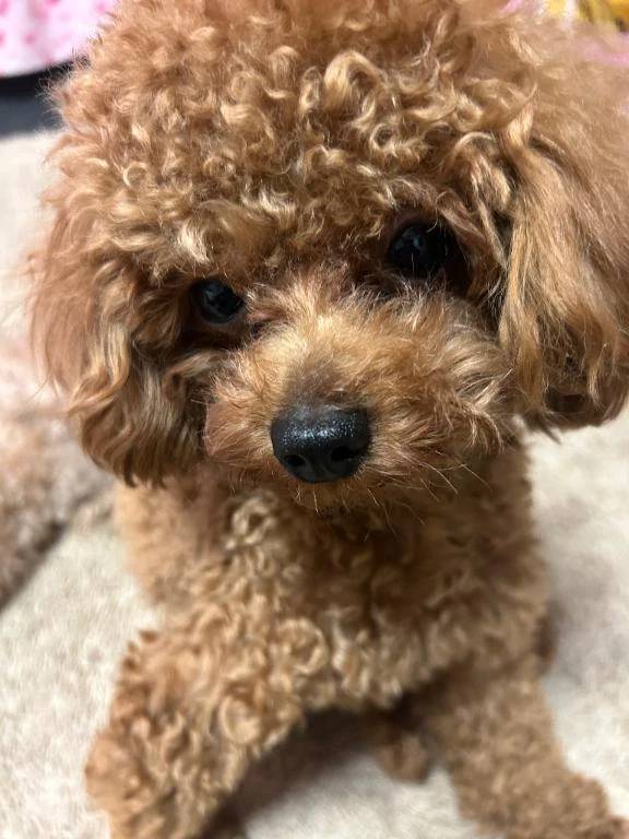 おはよぉ🍃🌸🐝🌸🍃