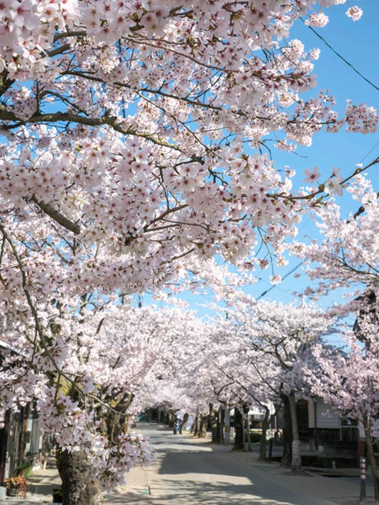 リピーターのＯ様に感謝～です