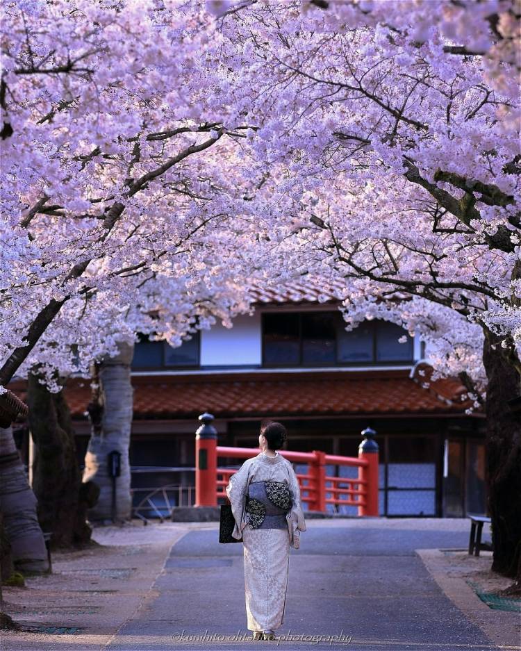 お疲れ様でした