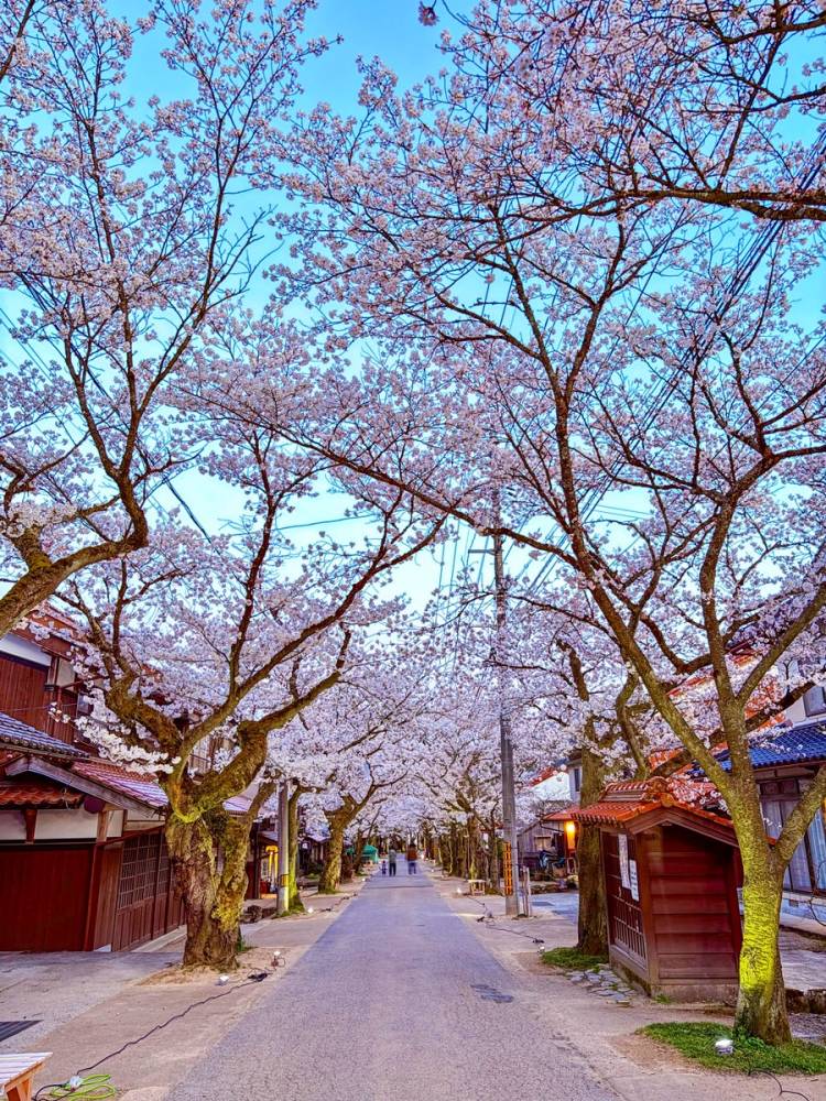 ４月になって３回目の月曜日