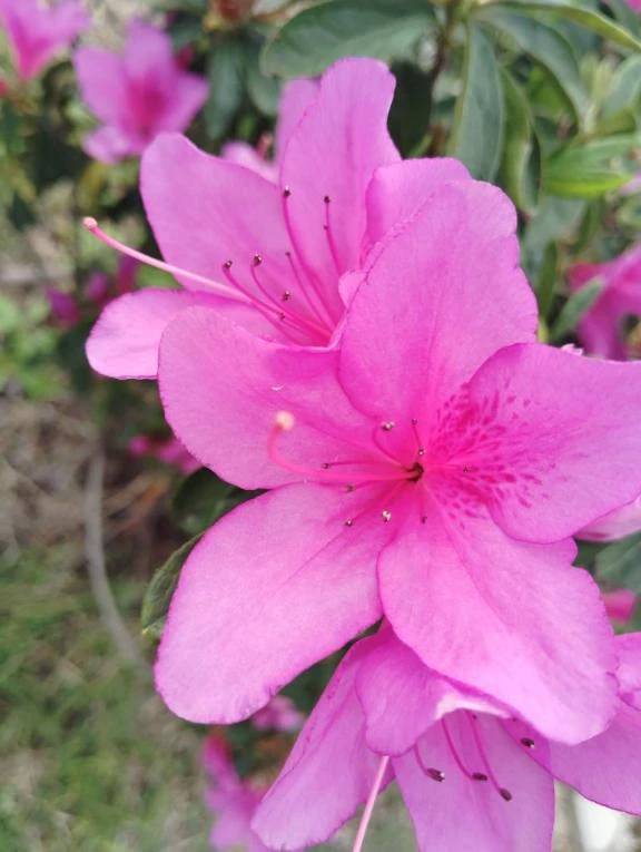 懐かしい😭😭