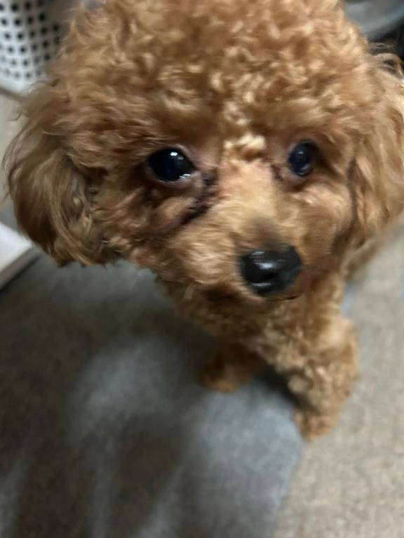 おはよぉ🍃🌸🐝🌸🍃