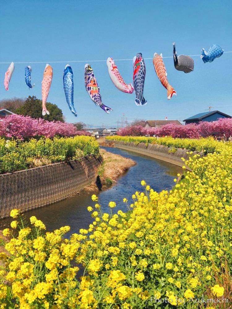 予想最高気温は昨日と同じ２３℃