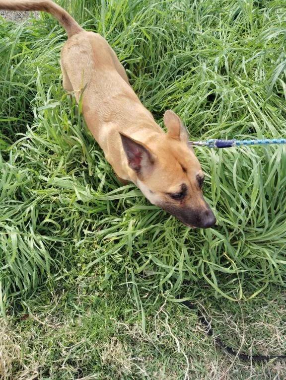 今日も元気だわん🐶🐶