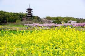 おやすみなさい