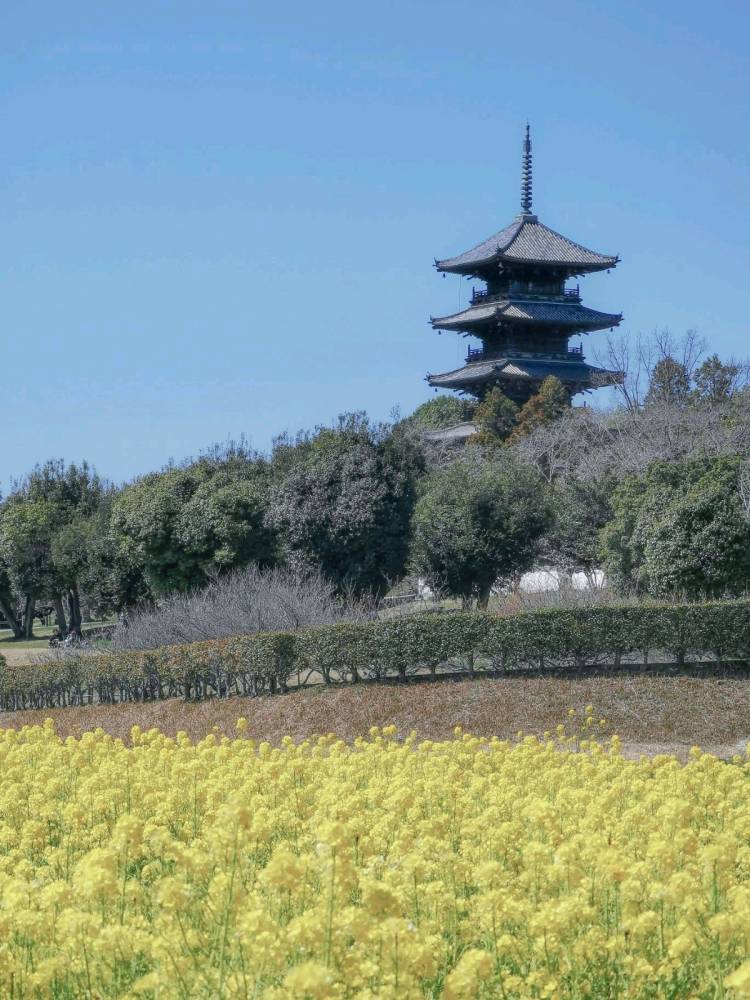 予想最高気温は１５℃